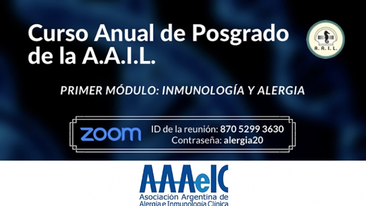 Curso Anual de Posgrado AAIL