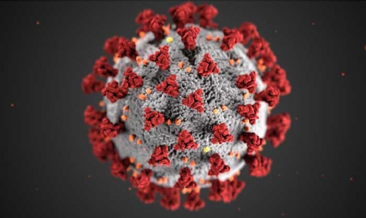 Coronavirus SARS-CoV-2 - COVID-19